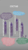Освежающий тоник для кожи головы Masil 11 Salon Scalp Care Ampoule Tonic 30мл